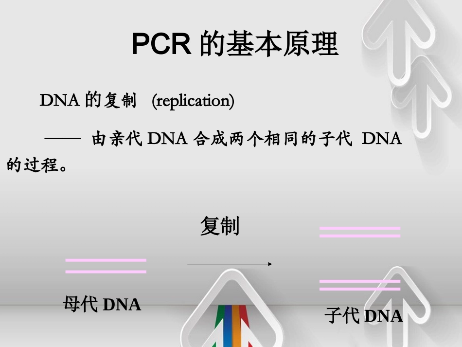 PCR和实时荧光定量PCR简要介绍_第3页
