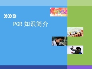 PCR技术解析