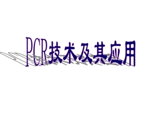 PCR实验及结果分析