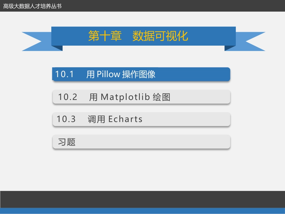 Python程序设计数据可视化_第2页