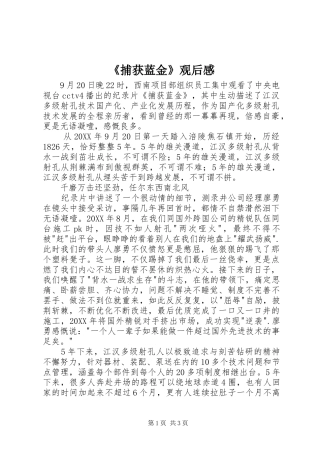 捕获蓝金观后感