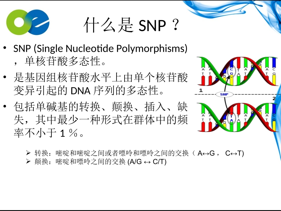 snp分型解析_第3页