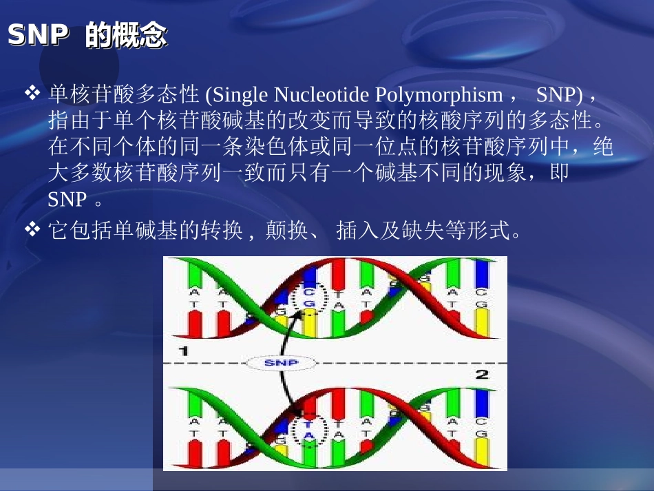 SNP分子标记的原理及应用解析_第2页