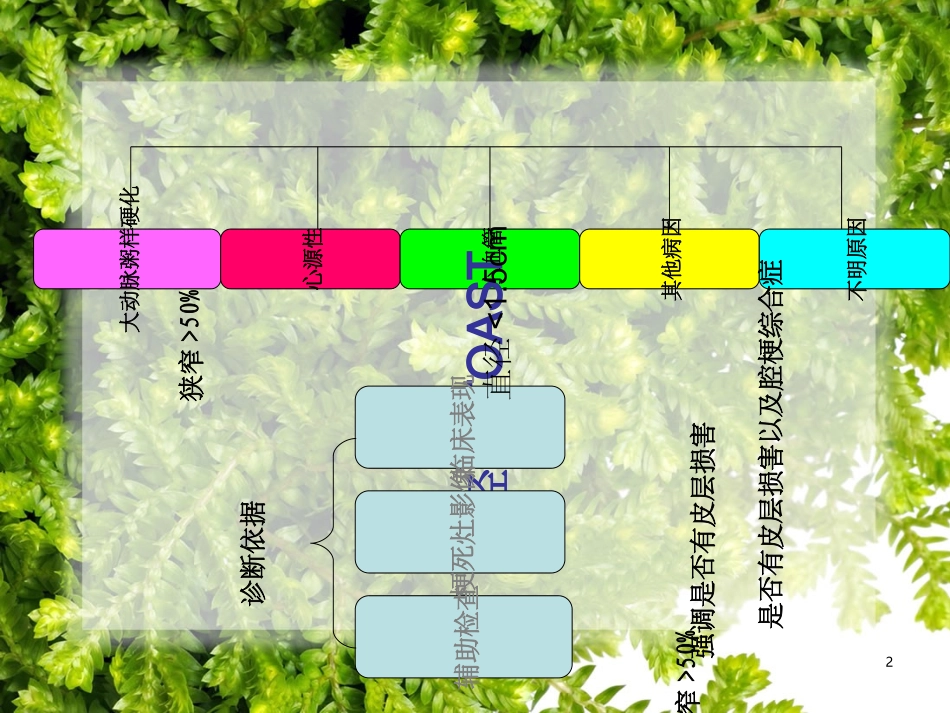 TOAST分型演变与CISS分型_第2页