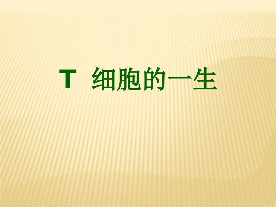 T细胞的一生T细胞亚群_第1页