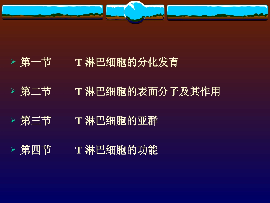 T细胞在胸腺中的发育二_第3页