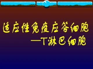 T细胞在胸腺中的发育二