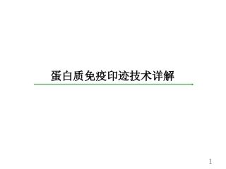 westernblotting蛋白免疫印迹