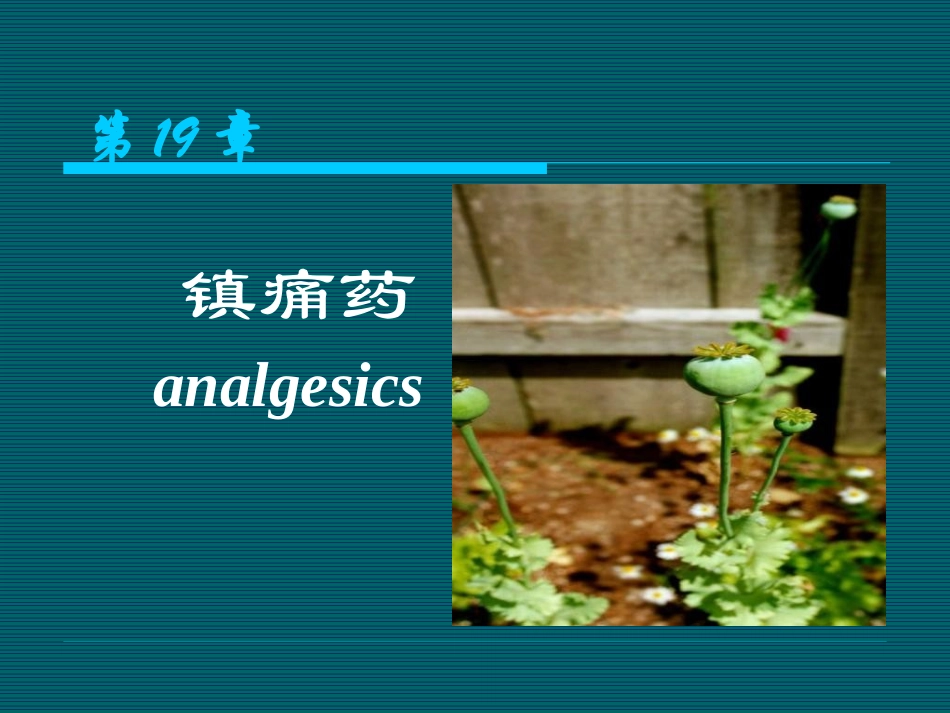 阿片受体激动药吗啡的药理作用_第1页
