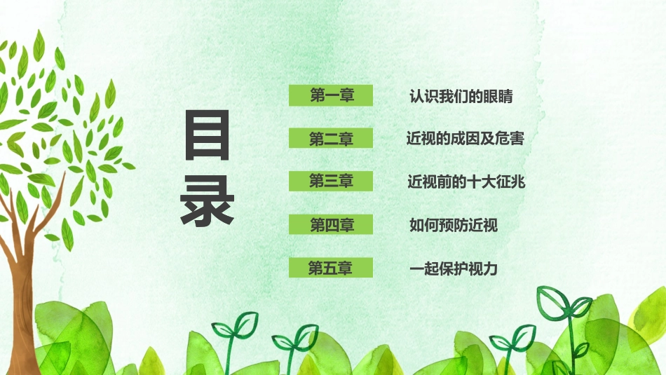 爱眼护眼保护视力模板_第2页