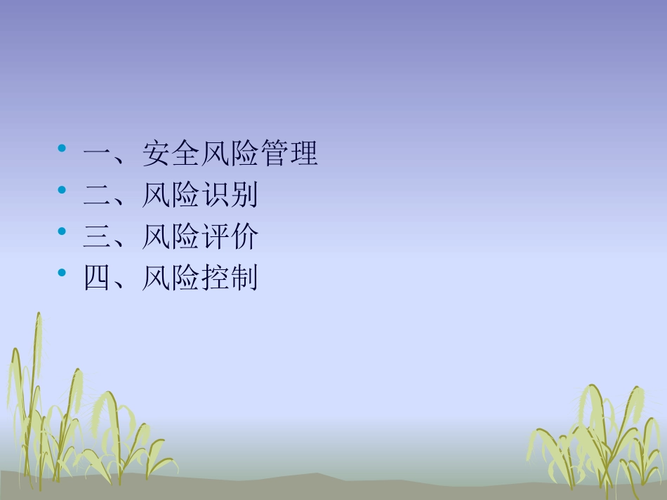 安全风险管理与风险识别_第2页