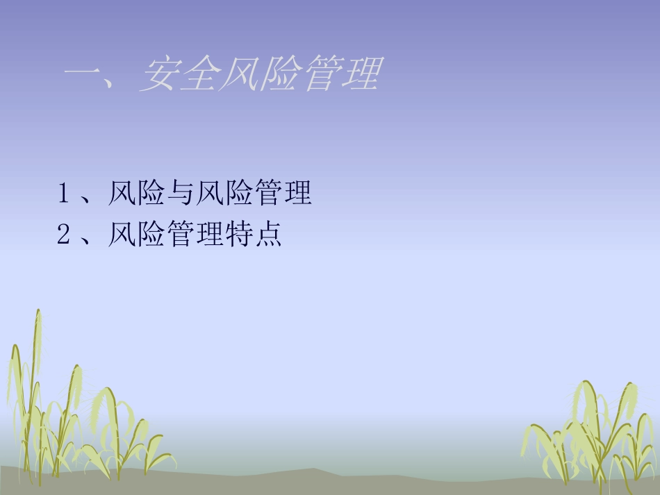 安全风险管理与风险识别_第3页