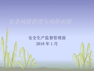 安全风险管理与风险识别