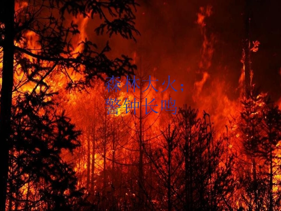 安全员消防知识培训_第2页