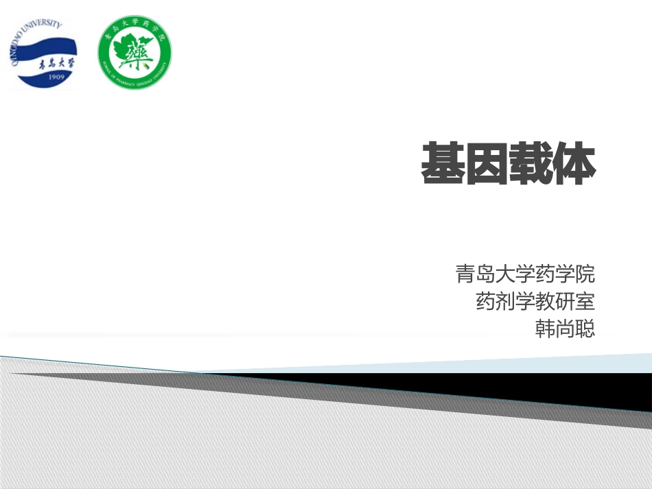 靶向基因载体_第1页