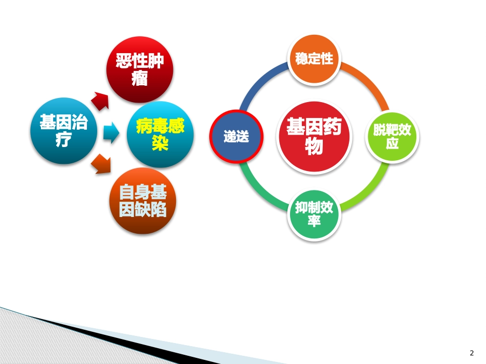 靶向基因载体_第2页