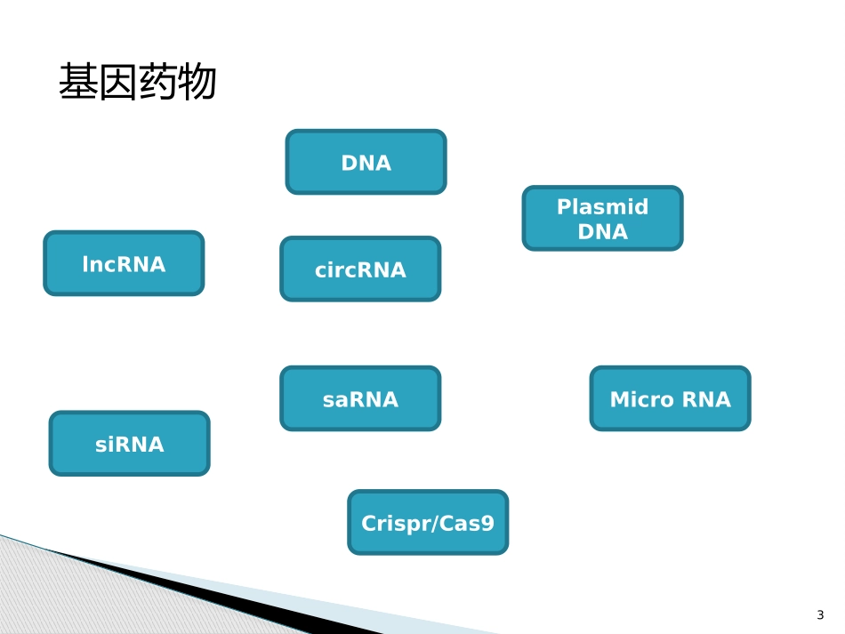 靶向基因载体_第3页