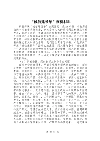 诚信建设年剖析材料