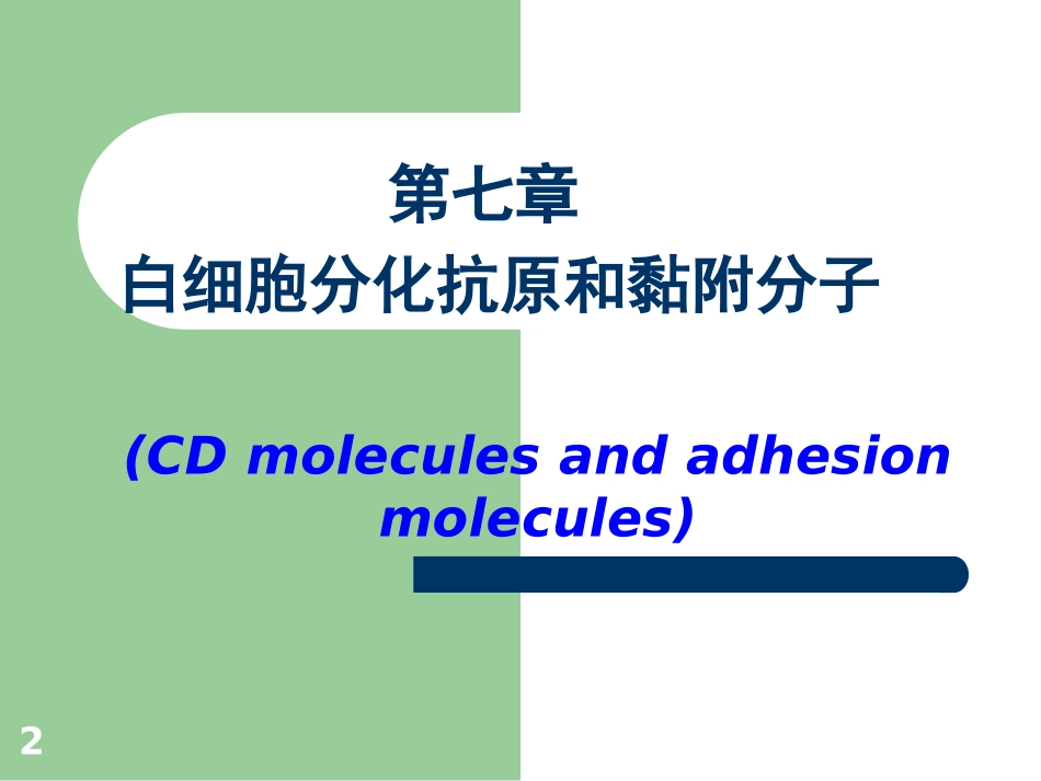 白细胞分化抗原和黏附分子_第2页