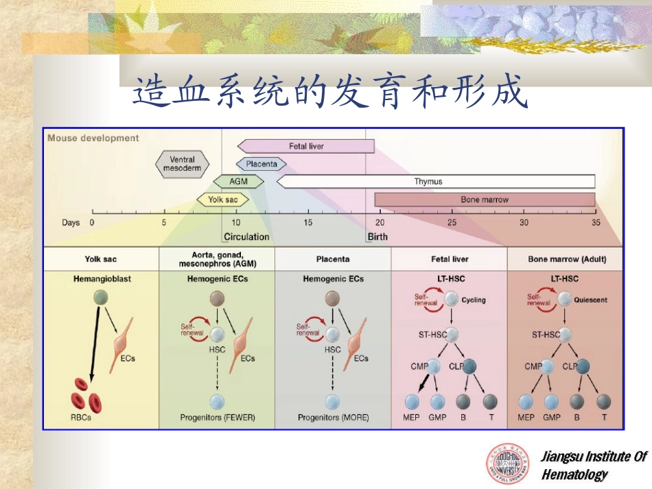白血病发生的分子机理和分子诊断_第3页