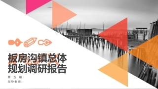 板房沟镇总体规划调研报告