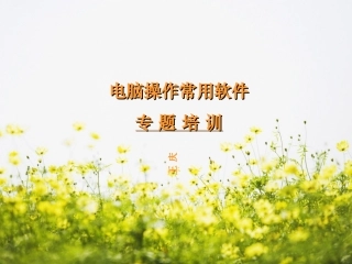 办公软件培训课件