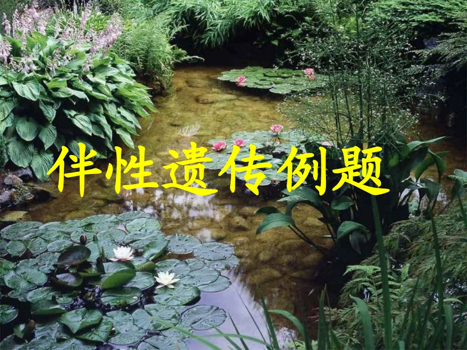 伴性遗传例题遗传系谱图_第1页