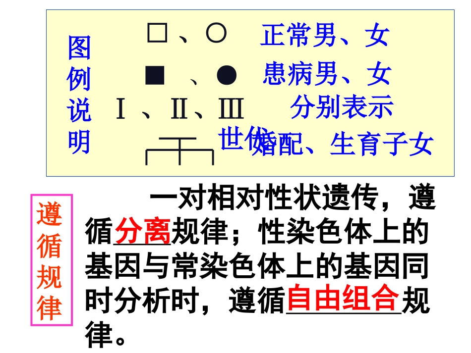 伴性遗传例题遗传系谱图_第3页