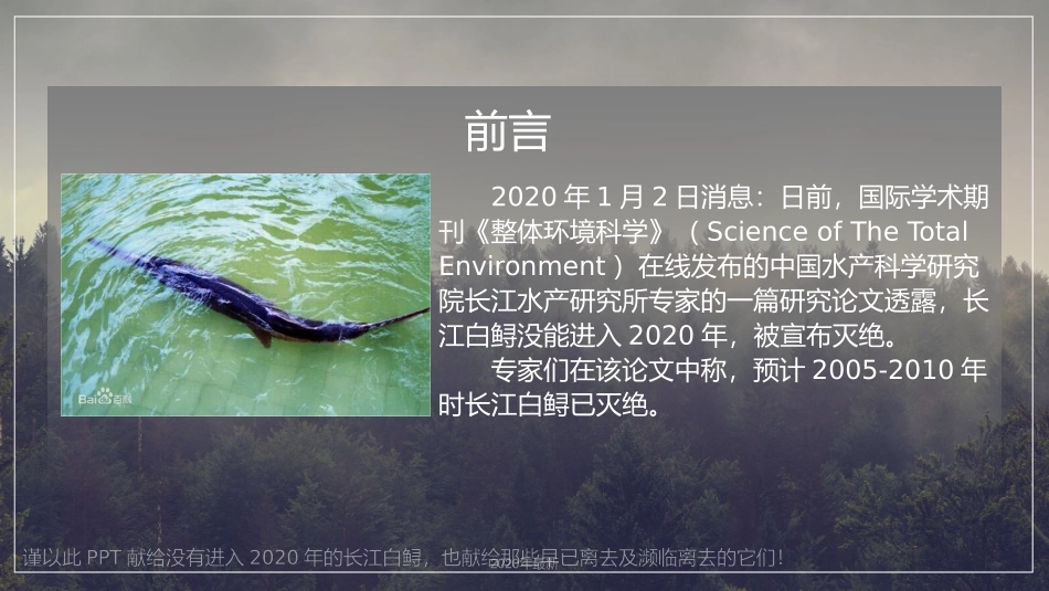 保护濒临灭绝动物讲解课件_第2页