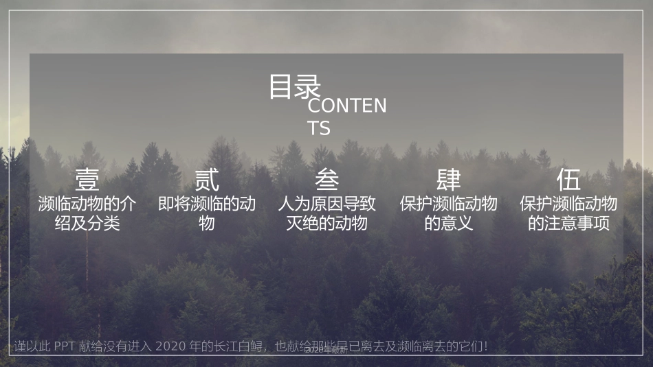 保护濒临灭绝动物讲解课件_第3页