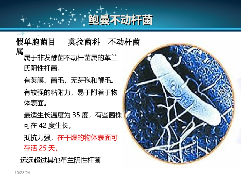 鲍曼不动杆菌_第3页