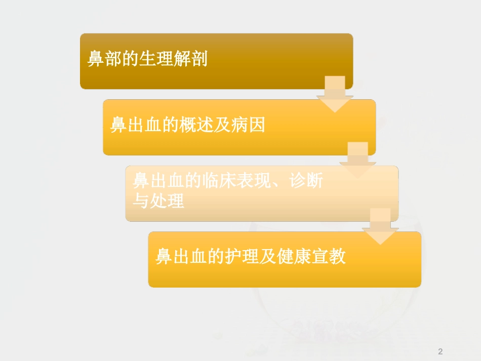 鼻出血的护理最新课件_第2页