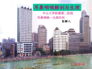 鼻的解剖及生理