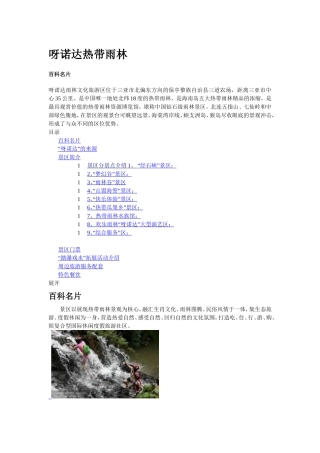 呀诺达热带雨林