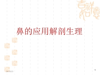 鼻的应用解剖生理课件