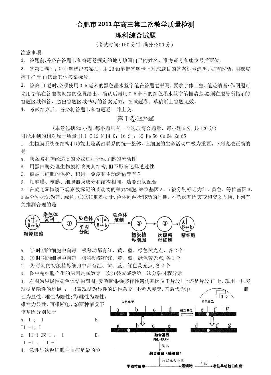 合肥市2011年高三第二次教学质量检测理综_第1页