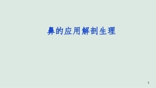 鼻解剖医学课件
