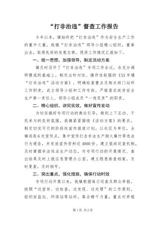 打非治违督查工作报告