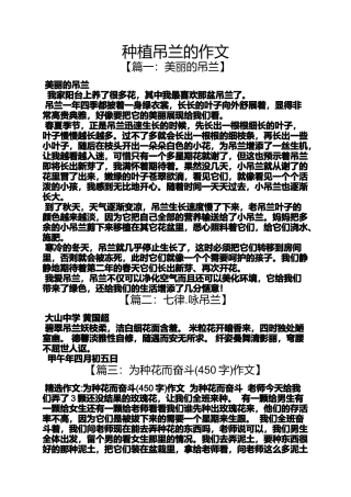 吊兰作文之种植吊兰的作文