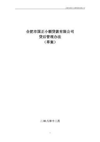 合肥市国正小额贷款有限公司