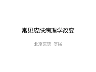 表皮病理变化