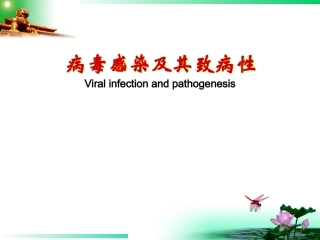 病毒感染及其致病性