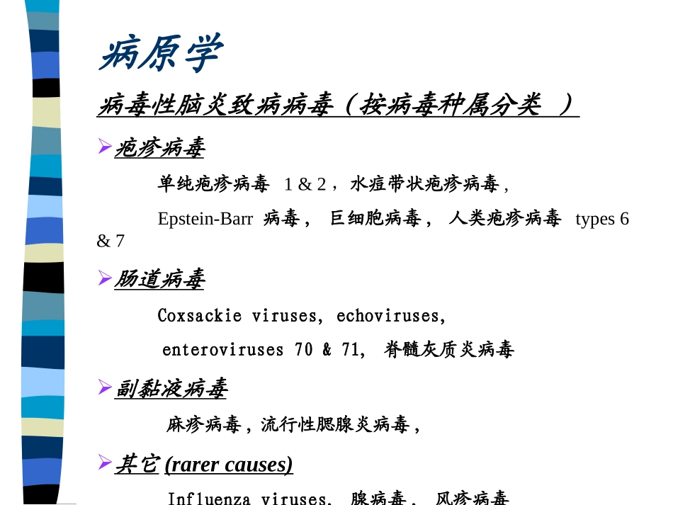 病毒性脑炎指南_第2页