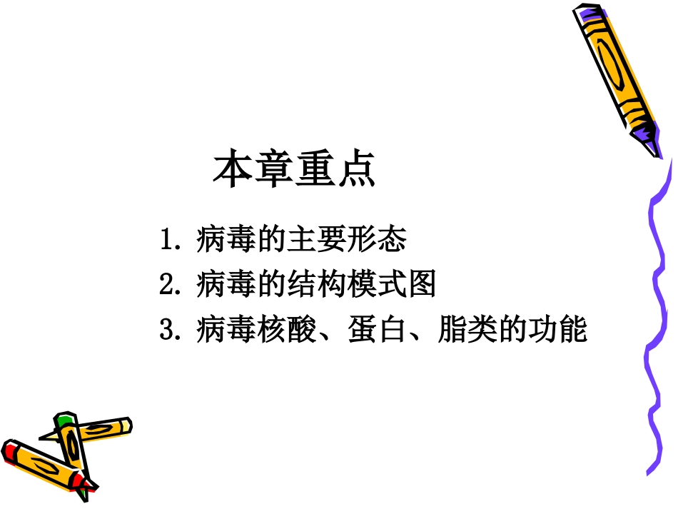 病毒学第二章病毒的形态与结构_第2页
