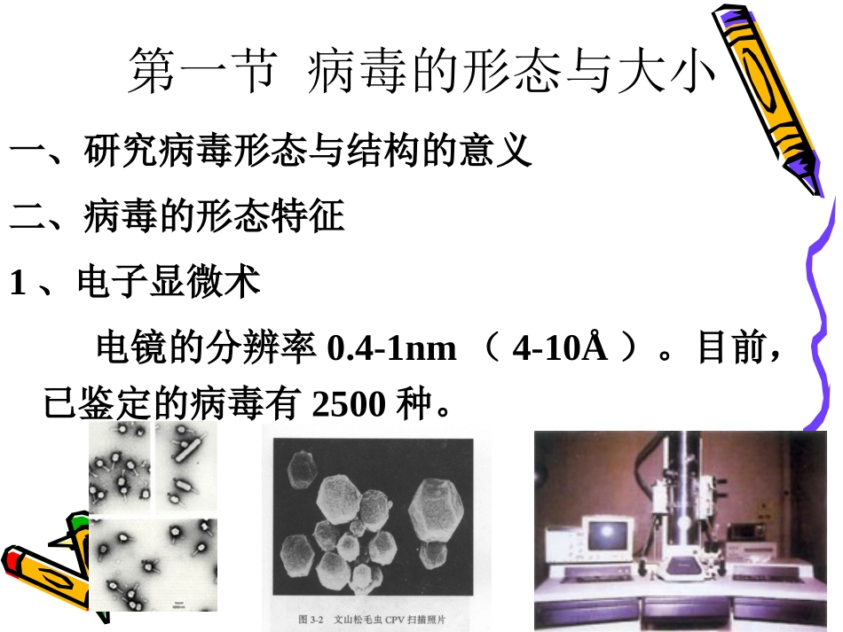 病毒学第二章病毒的形态与结构_第3页