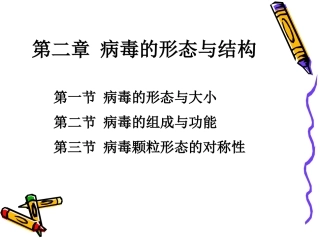 病毒学第二章病毒的形态与结构