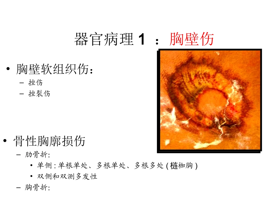 病理解剖学病理生理学_第2页