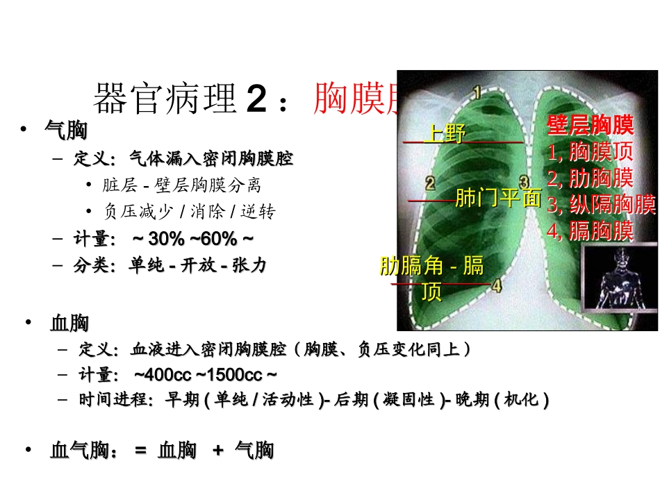 病理解剖学病理生理学_第3页