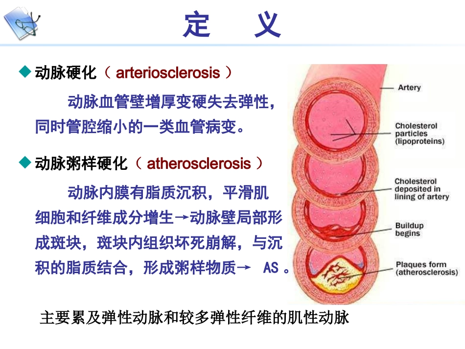 病理生理学AS_第2页