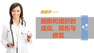 病理学第二章